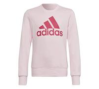 Adidas Girls Sweatshirt (Long Sleeve) G Bl SWT, Clear Pink/Team Real Magenta, HM8709, 152