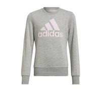 ADIDAS Kinder Sweatshirt G BL SWT MGREYH/CLPINK 152 (4065429339830)