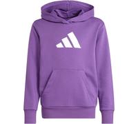 adidas Glam Graphic Hoodie Mädchen KE5470 - active purple/ice gold met. 128