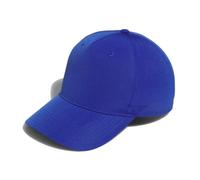 adidas Golf Adipoly Performance Cap blau 1