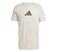 Adidas Herren AEROREADY All-Gym Category Graphic Tee, Wonder Alumina, XL