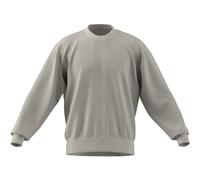 adidas Herren All Season Sweatshirt grau XXL