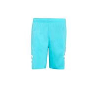 ADIDAS Herren Badeshort Icon 3S SH 8in blau | M