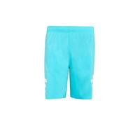 ADIDAS Herren Badeshort Icon 3S SH 8in blau | XXL