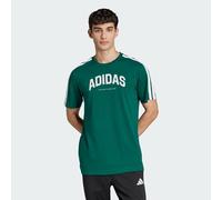 Adidas Herren Codes Collegiate LINEAR Graphic T-Shirt, Collegiate Green, XXL