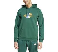 Adidas Herren Kapuzenpullover Codes Graphic Collegiate Green Größe M (IW2641/M)