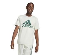 adidas Herren Essentials Single Jersey Big Logo Tee, Linen Green/Collegiate Green, S