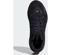 ADIDAS Herren Freizeitschuhe Mercedes - AMG Petronas Formula One Team Lightblaze (JQ7132) 46 CBLACK/CBLACK/AURPLU