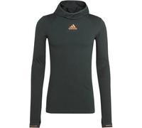ADIDAS Herren Kapuzenpullover X-CITY LONGSLEE (HL3934) S SHAGRN/BLACK