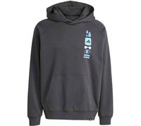 ADIDAS Herren Kapuzensweat Power mit Grafikprint (JX1811) L CARBON/MULTCO