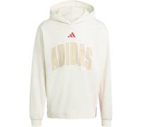 ADIDAS Herren Kapuzensweat STADIUM GRAPHIC (KD0289) L OWHITE/PURRUB
