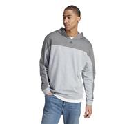 adidas Herren Mélange Hoodie, aero Blue Mel./Grey Four Mel-SLD, S
