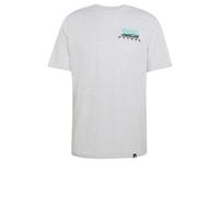 adidas Herren Mercedes - Amg Petronas Formula 1 Team Graphic 01 Shirt, Light Grey Heather, XL