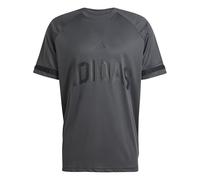 adidas Herren Seasonal Essentials US Sport T-Shirt, Dark Grey, XL