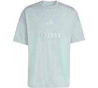 adidas All SZN Embroidered Graphics T-Shirt KC4656 - wonder sage L