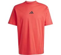 ADIDAS Herren Shirt City Escape (JF3328) S PURRUB