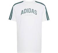 Adidas T-Shirt Codes Collegiate JJ3868 Linear Graphic Herren Weiß M
