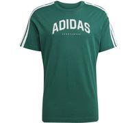 adidas Codes Collegiate Linear Graphic T-Shirt Herren JJ3869 - collegiate green L