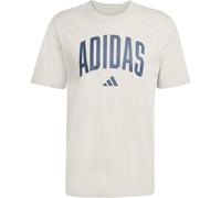 Collegiate Lineage Graphic T-Shirt Beige M