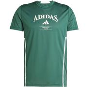 ADIDAS D4T LEGACY TEE CGREEN/CWHITE, M