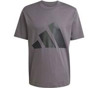 adidas Herren Essentials Big Logo Single Jersey Tee, Grey strata/Black, S