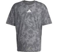 Adidas Fun Training Graphic Short Sleeve T-shirt Grau XL Mann