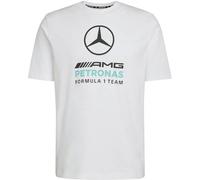 adidas Men's Mercedes - AMG Petronas Formula 1 Team DNA Graphic Tee, White/semi Mint Rush, XS
