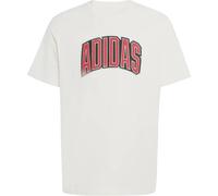 ADIDAS Herren Shirt STADIUM COLLEGIATE GRAPHIC (KB4928) S OWHITE