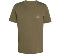 Adidas T-Shirt TERREX Mountain Graphic (MBF89) Olive Strata L