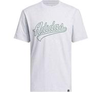 Varsity Tailsweep Grafik T-Shirt Light Grey Heather XL