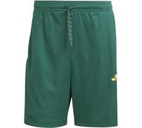 ADIDAS Herren Shorts House of Tiro Nations Pack (JC8063) XL CGREEN/BOGOLD/BLAGRN
