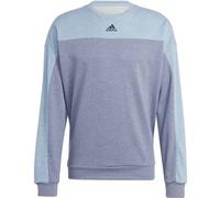 ADIDAS Herren Sweatshirt Mélange (normal & lang) (IJ8984) XL BLUE G/WOBLME