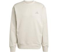 Adidas Herren Mercedes - AMG Petronas Formula ONE Team Premium Sweat Sweat TOP Men, Wonder Alumina/Putty beige, M