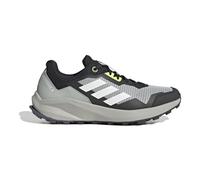 adidas Herren Terrex Rider Gore-tex Trail Laufschuhe, Wonder Silver Crystal White Dark Grey Heather Solid Grey, 44 EU