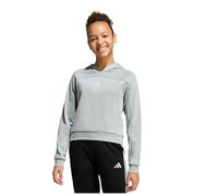 adidas Girl's Junior Girl Holiday Glam Cropped Sweatshirt, Wonder Sage/Silver met., 7-8 Years