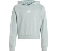 adidas Holiday Glam Cropped Sweatshirt Mädchen KB7048 - wonder sage/silver met. 170