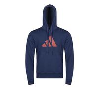 Adidas Hoodie Perfo Script Graphic Hoody 100% Baumwolle Herren M Blau