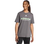 adidas House Of Tiro Linear Graphic T-Shirt Herren - grey five - 2XL