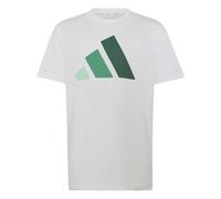 adidas J BL TEE 160 T-Shirt Kinder - Weiß/CLEMIN/COUGRN/C 140 WHITE/CLEMIN/COUGRN/C