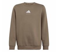 adidas Jungen Boys Slogan Fleece Sweatshirt, Khaki Six, 7-8 Years