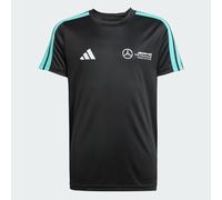 adidas Jungen Mercedes - Amg Petronas Formula One Team Dna Tee Youth Short Sleeves