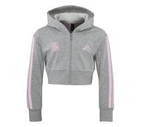 adidas Kapuzen-Jacke Kids grau 152