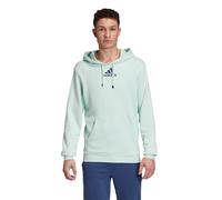 adidas Kapuzenpullover (Hoodie) Graphic hellgrün Herren, Größe XL
