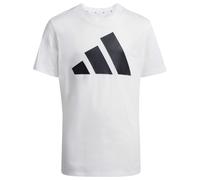 adidas Unisex Kids Essentials Big Logo T-Shirt, White/Black, 11-12 Years