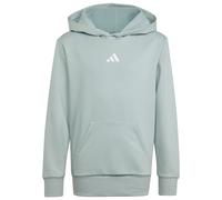 Adidas Essentials Kapuzenpullover 15-16 Jahre Wonder Sage / White