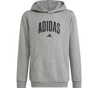 adidas Kinder Collegiate Graphic Hoodie (Größe 116, grau)