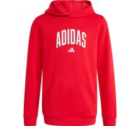 adidas Kinder Collegiate Graphic Hoodie (Größe 116, rot)