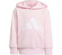 adidas Unisex Kinder Essentials Big Logo Hoodie, Clear pink/White, 4-5 Years