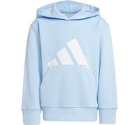 adidas Unisex Kinder Essentials Big Logo Hoodie, Glow Blue/White, 6-7 Years