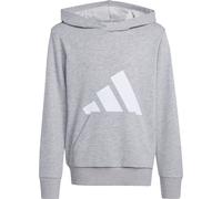 Adidas Kapuzenpullover Essentials JV9900 Kinder Big Logo Medium Grey Heather/White Gr. 164